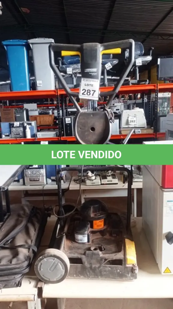 LOTE 287