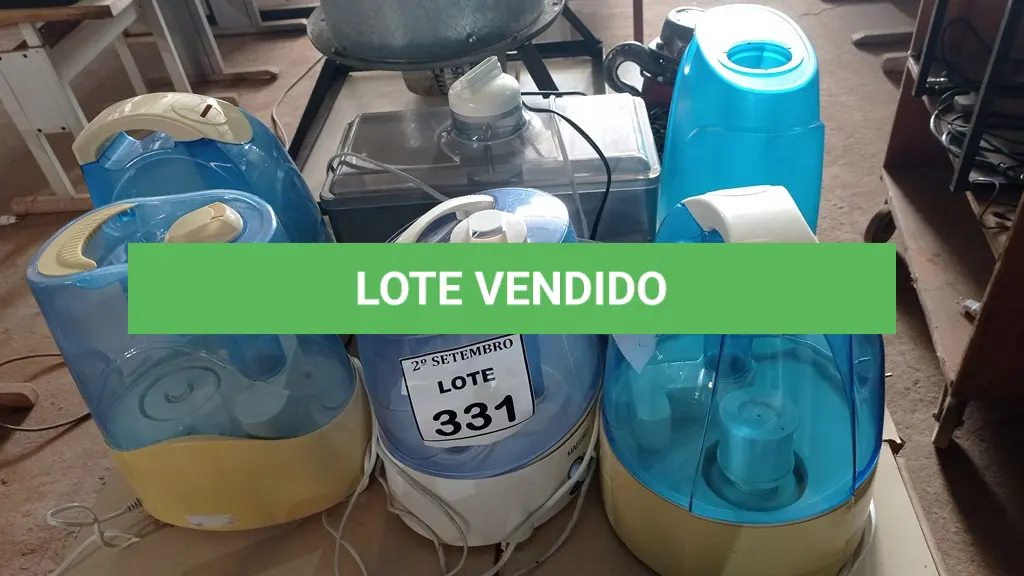LOTE 331