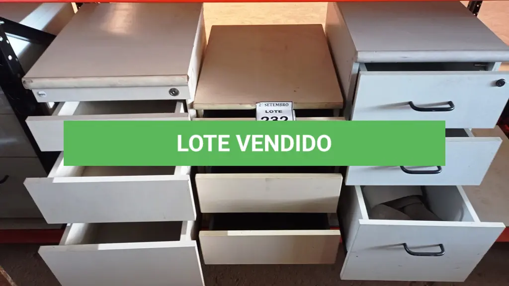 LOTE 232