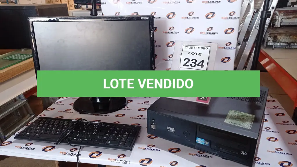 LOTE 234