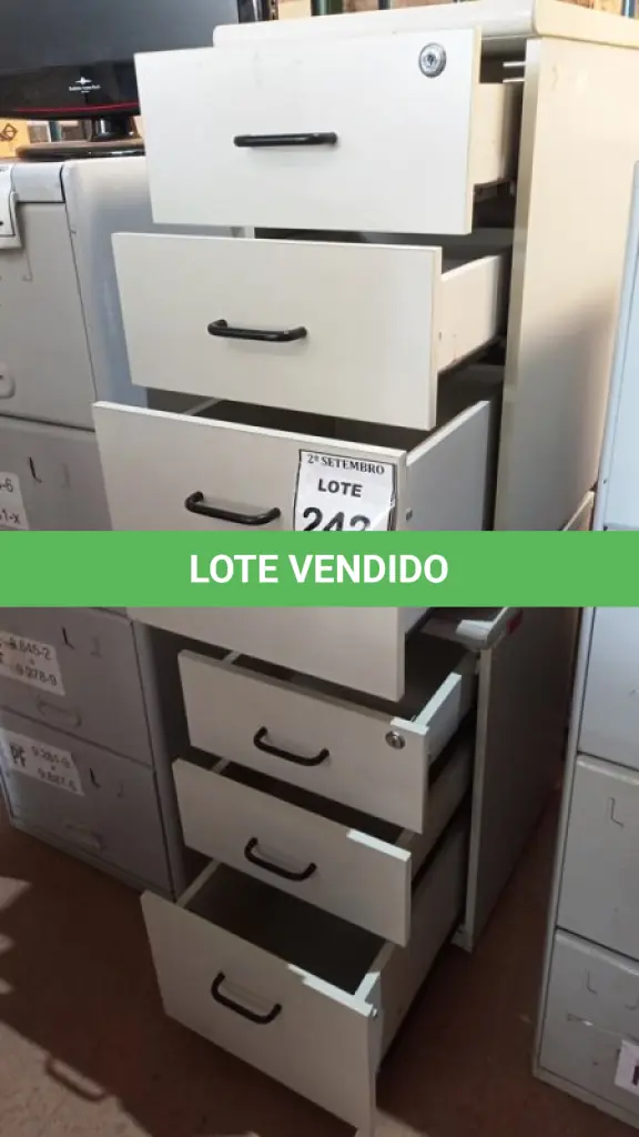 LOTE 242