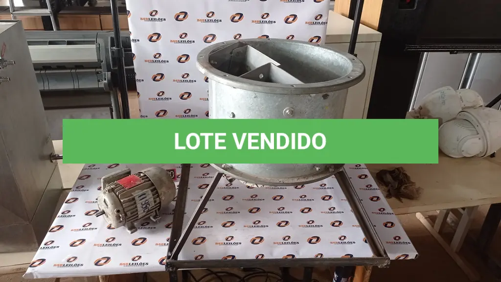 LOTE 333