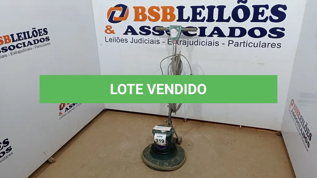 LOTE 319