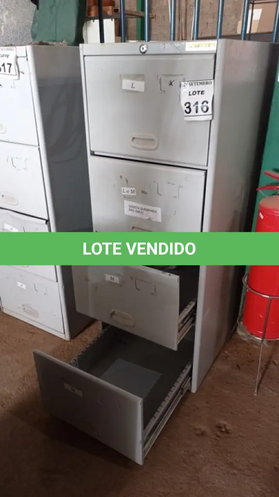 LOTE 316