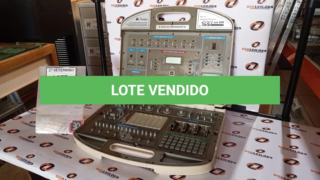 LOTE 228
