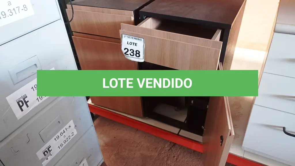LOTE 238