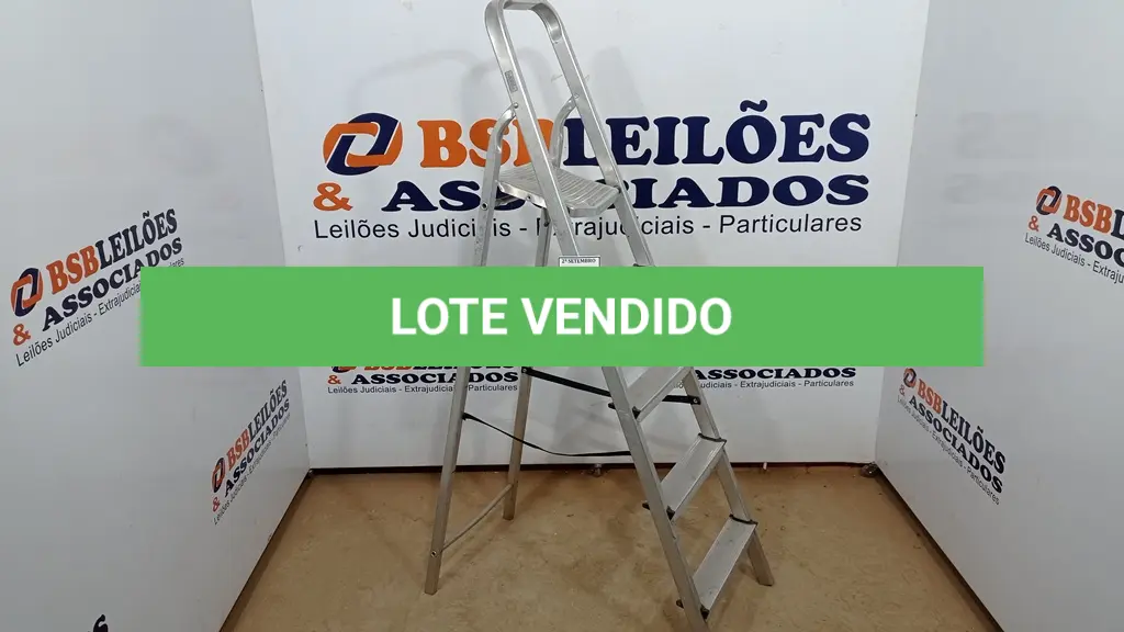 LOTE 447