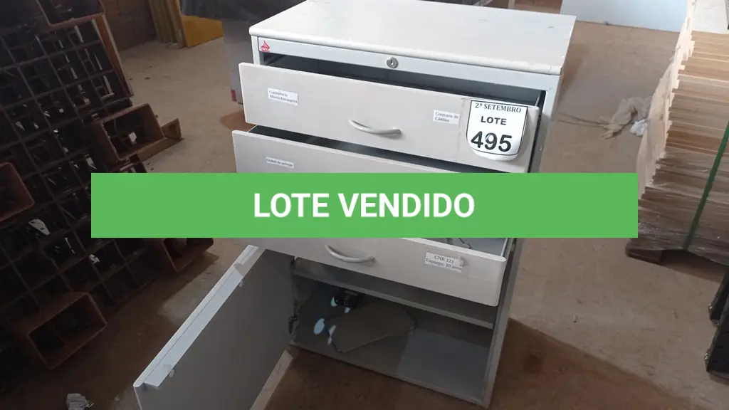 LOTE 495