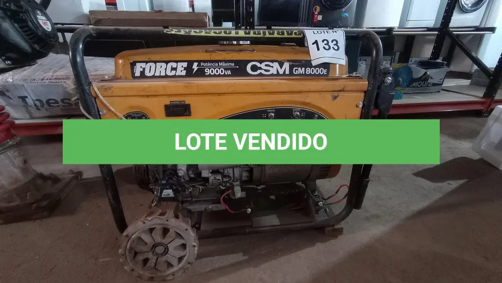 LOTE 133