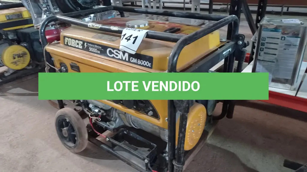 LOTE 141
