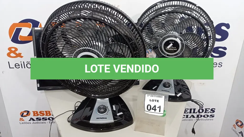 LOTE 041