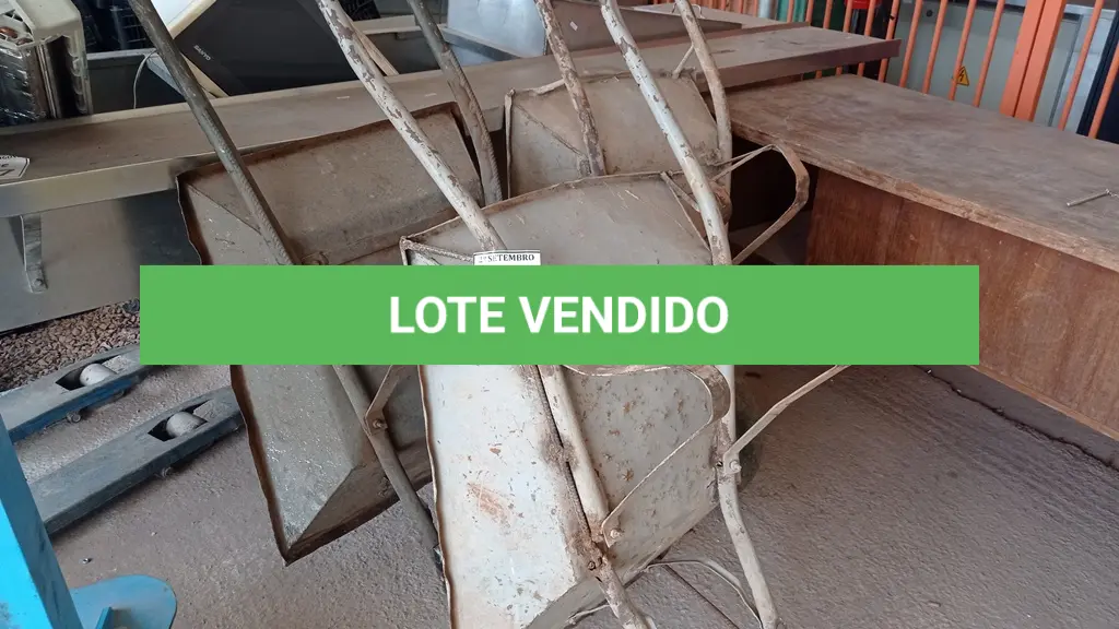 LOTE 509