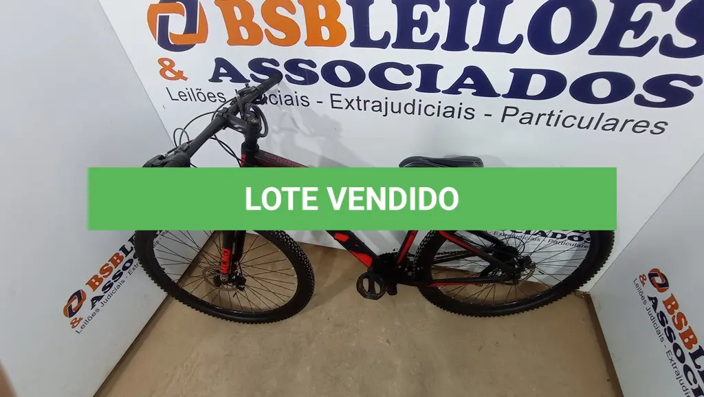 LOTE 131