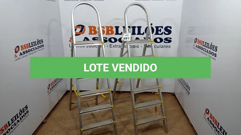LOTE 491