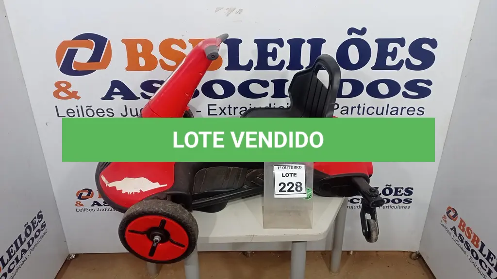 LOTE 228