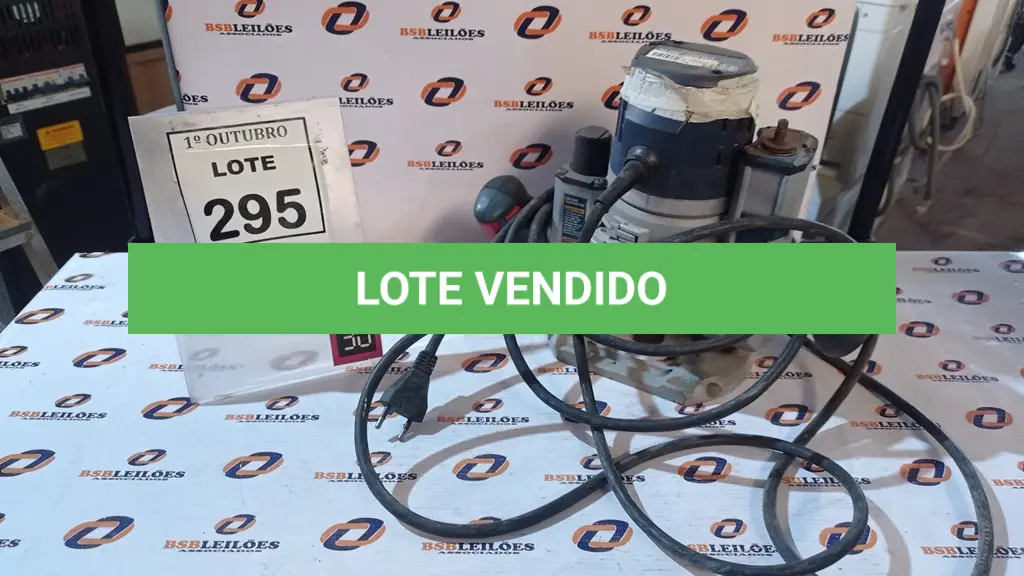 LOTE 295