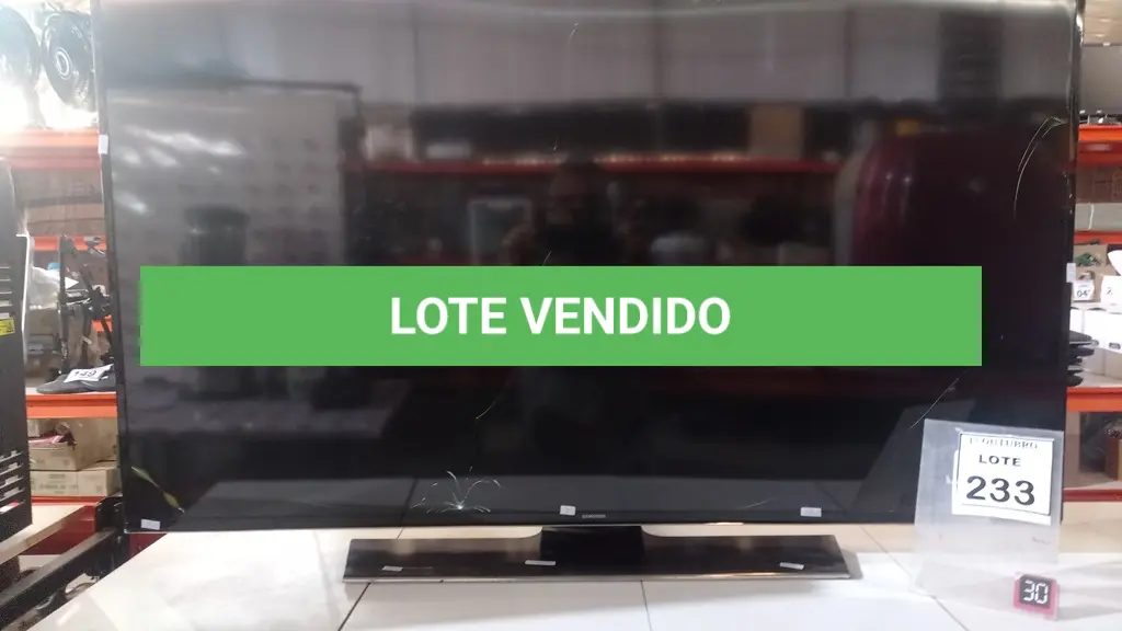LOTE 233