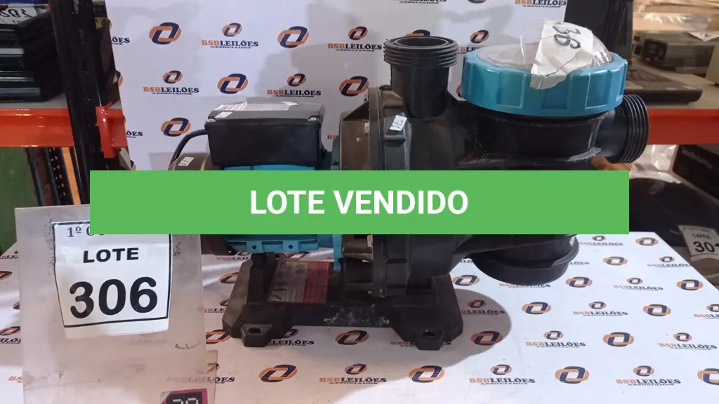 LOTE 306