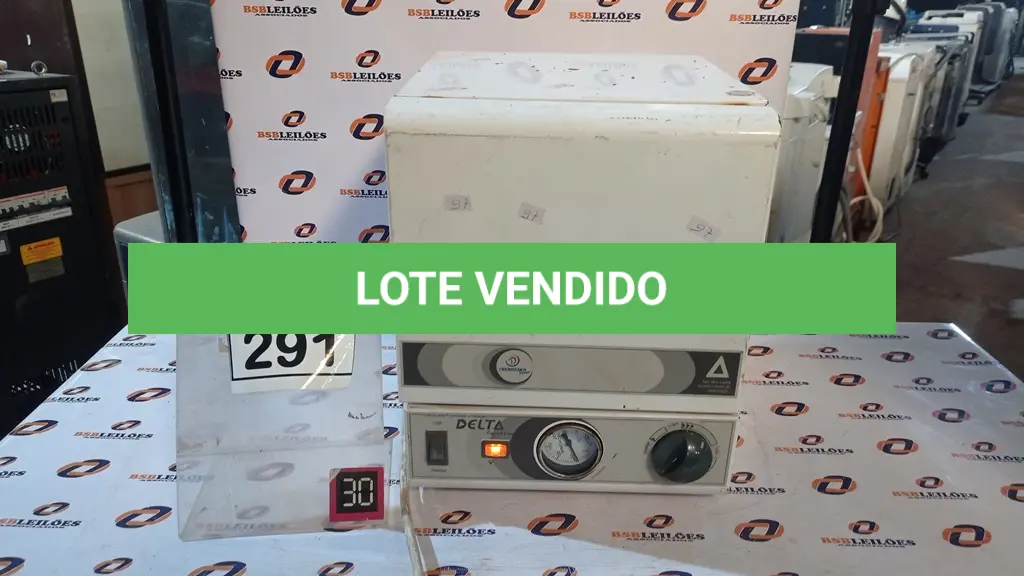 LOTE 291
