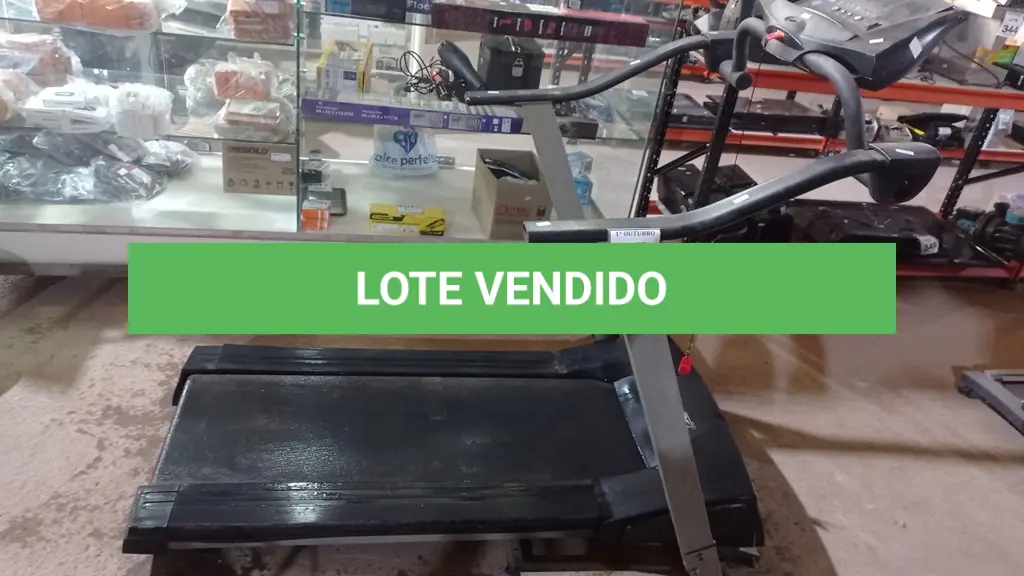 LOTE 355