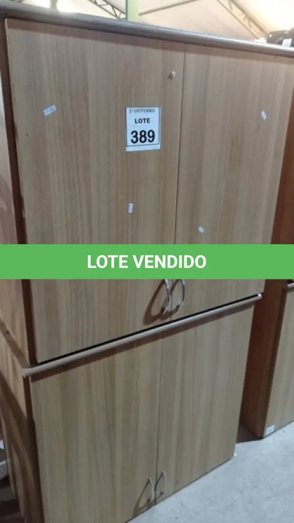 LOTE 389