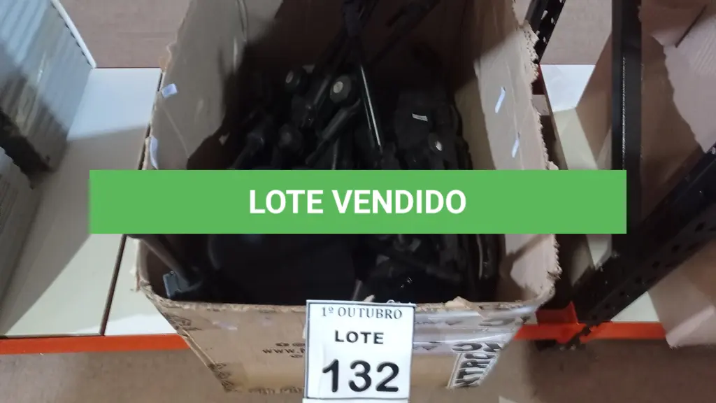 LOTE 132
