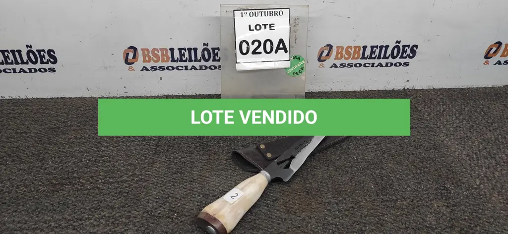 LOTE 020