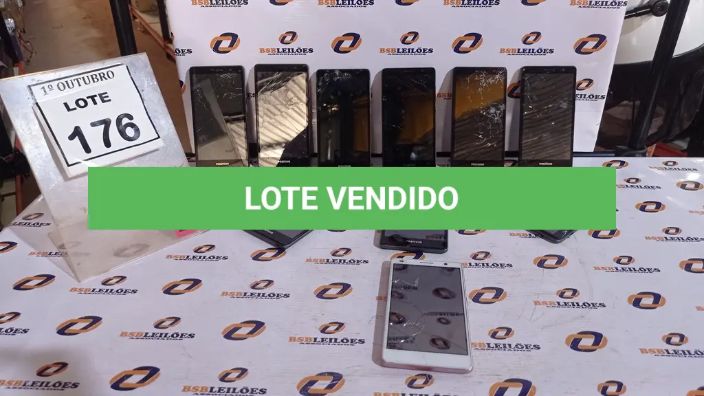 LOTE 176
