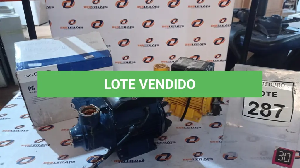 LOTE 287