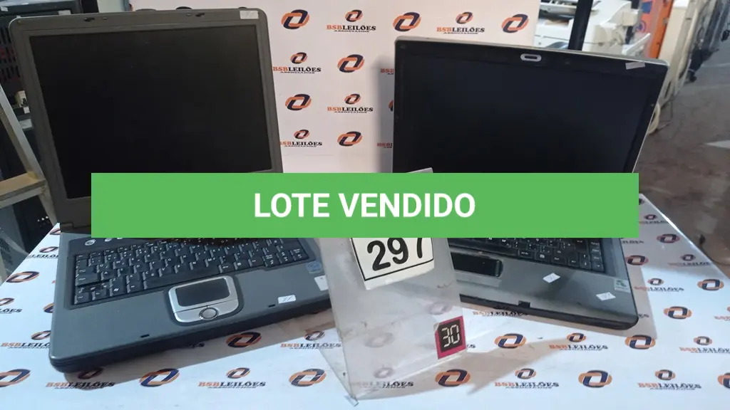 LOTE 297