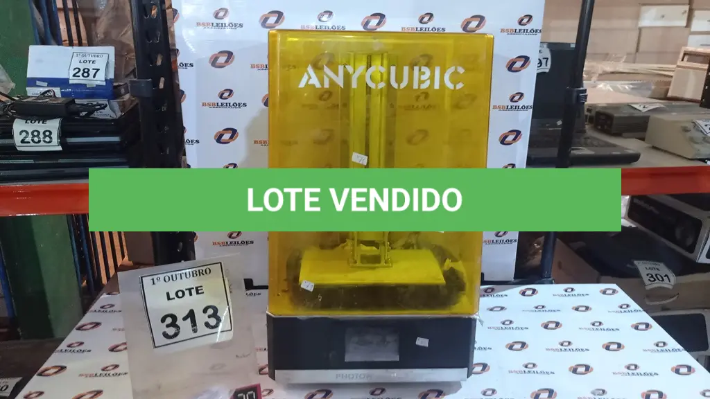 LOTE 313