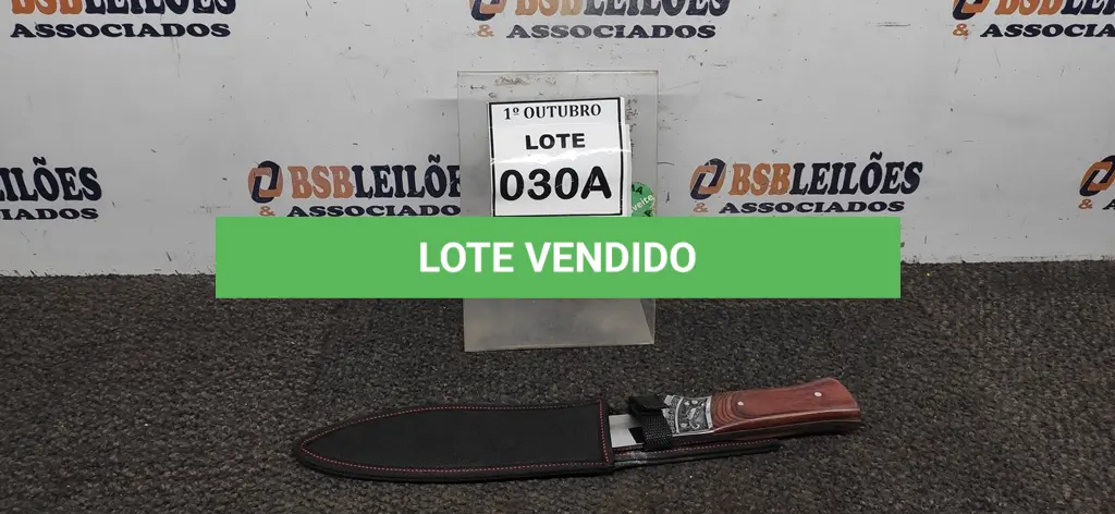 LOTE 030