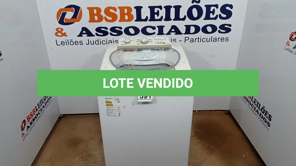LOTE 391
