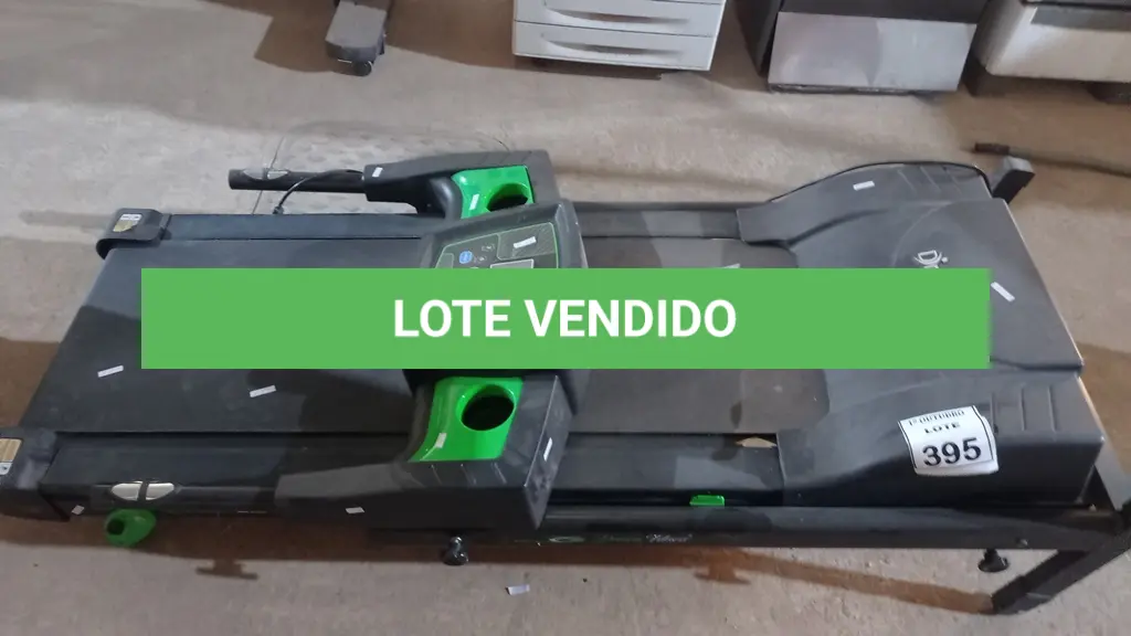 LOTE 395