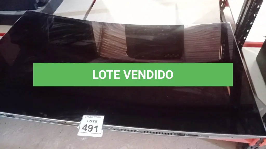 LOTE 491