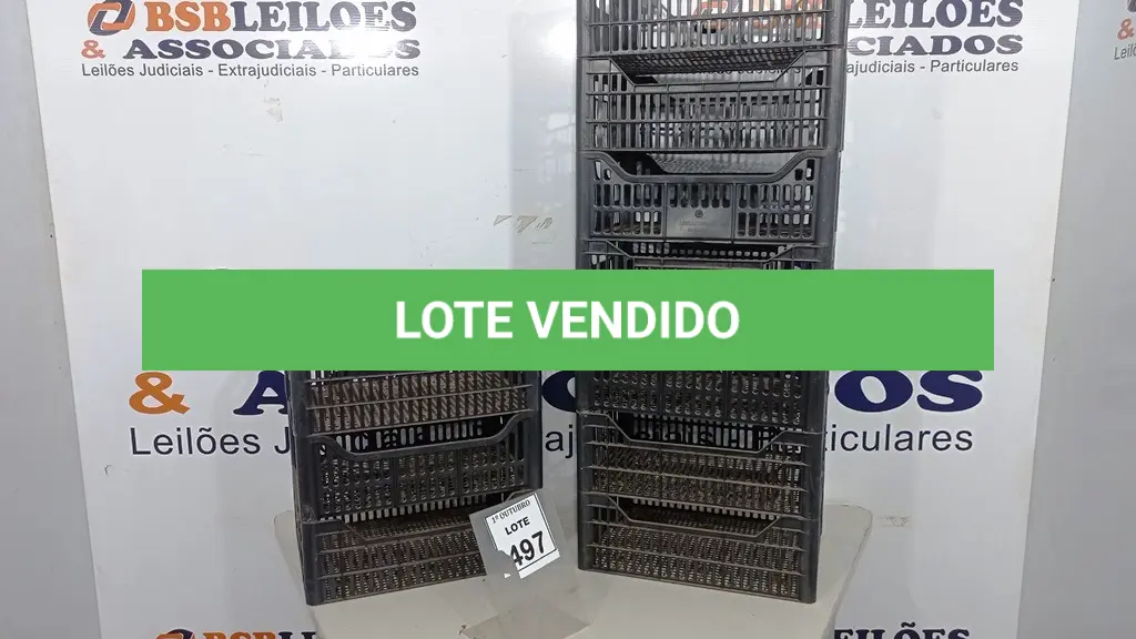 LOTE 497
