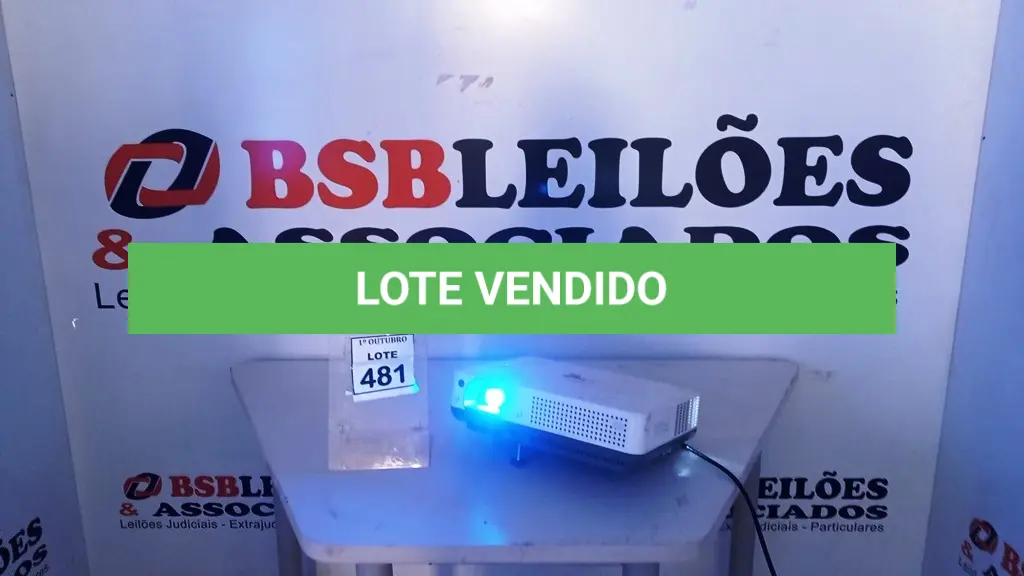 LOTE 481