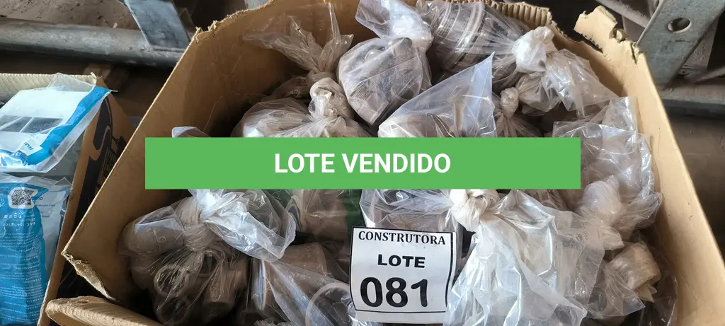 LOTE 081