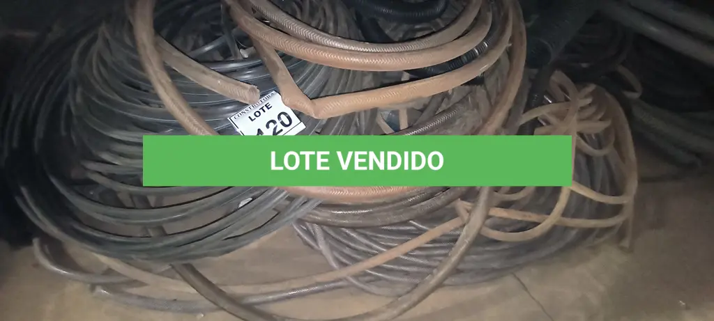 LOTE 120
