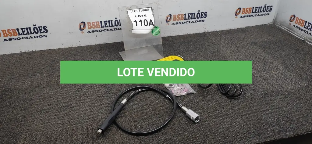 LOTE 110