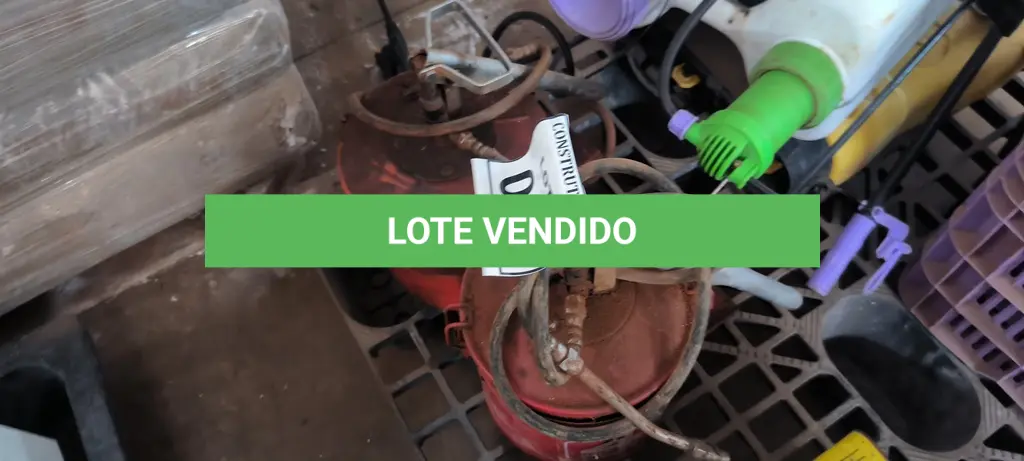 LOTE 020