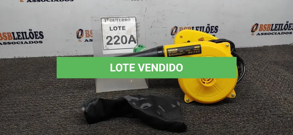 LOTE 220