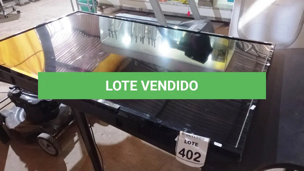LOTE 402