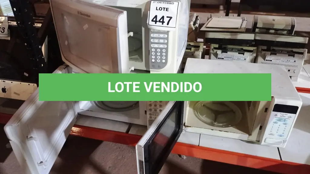 LOTE 447