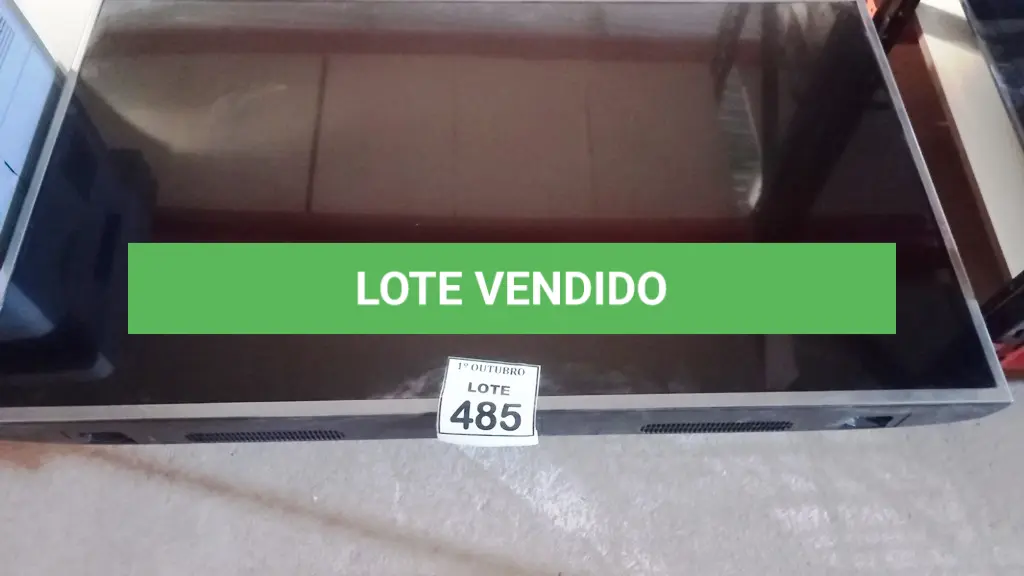 LOTE 485