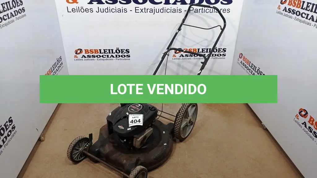 LOTE 404