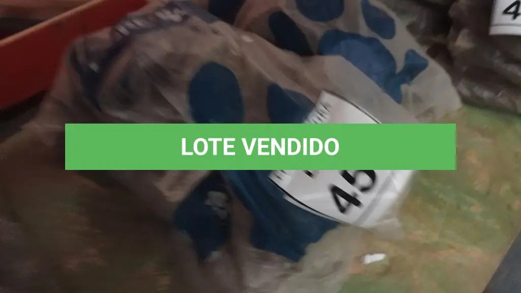LOTE 459