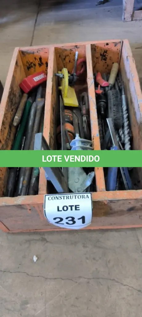 LOTE 231