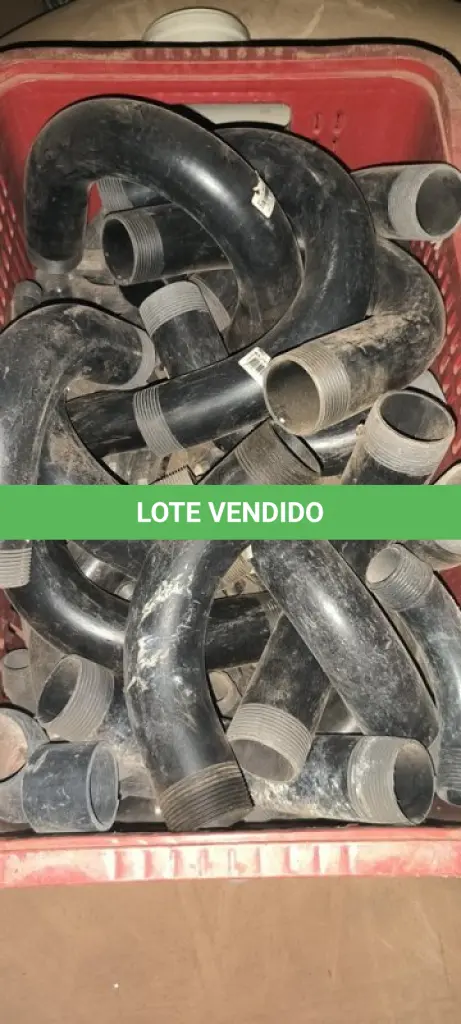 LOTE 257