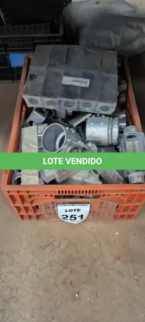 LOTE 251